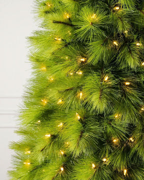 Árvore de Natal Monterey Pine Slim com Galhos Articulados, Suporte Metálico e Micro LEDs Embutidos